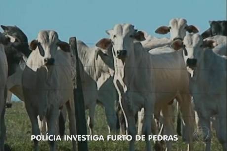 Funcionário de frigorífico é preso com pedra cara retirada de animal