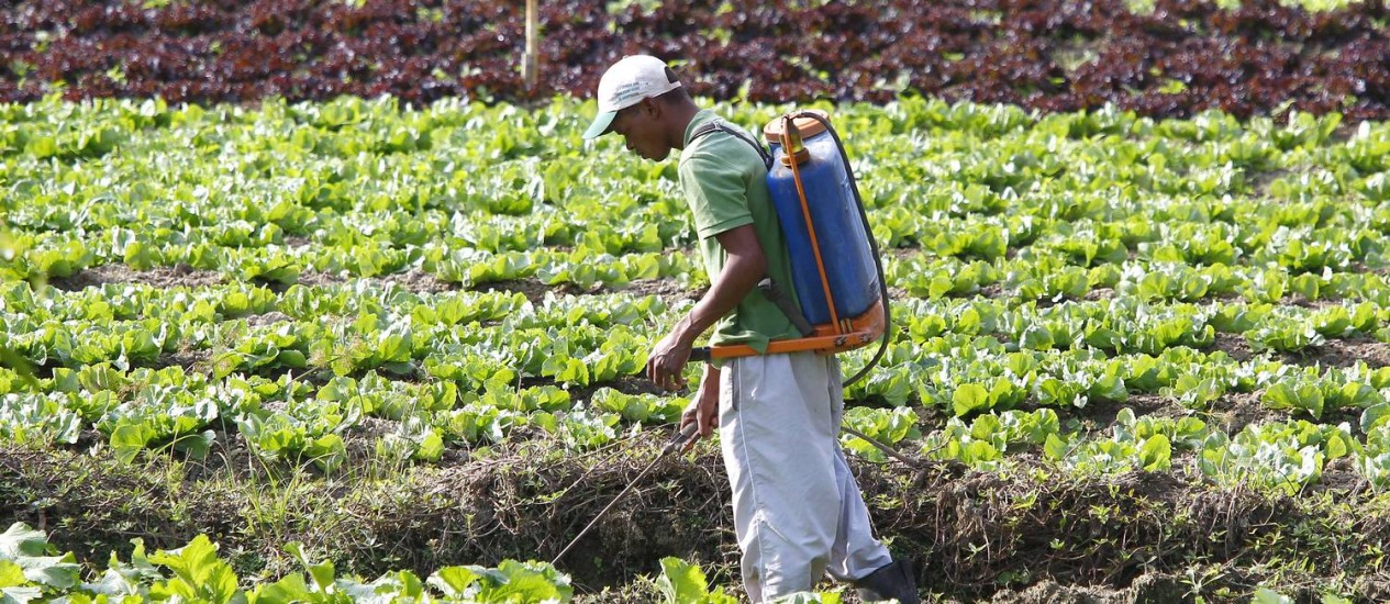 Brasil lidera o ranking de consumo de agrotóxicos  