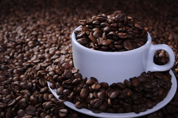 Deputados torram o equivalente a 48 toneladas de café com aluguel de máquinas de expresso