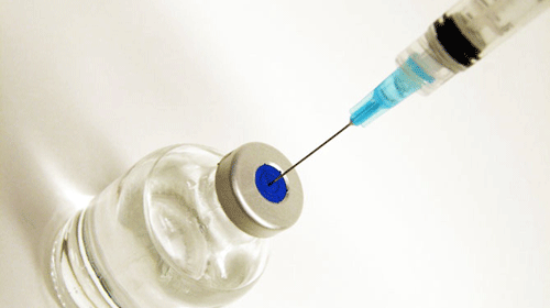 Empresa farmacêutica desenvolve vacina contra a dengue