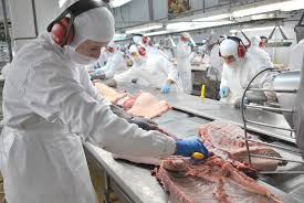 Tempo gasto com troca de roupa e higiene em frigorífico deve ser remunerado