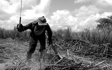 Pastoral da Terra critica liminar do STF que suspende 'lista suja' e apela a Dilma