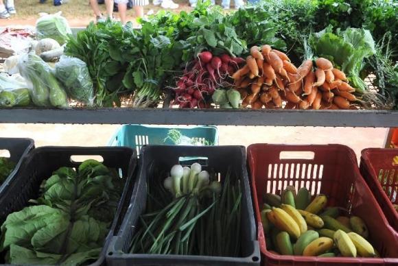 Comer frutas e legumes todos os dias ajuda a ser mais feliz, diz estudo